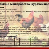 Органічне землеробство (курячий послід) мішок 20 літрів